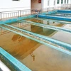 Effective microbes for treatment of grease and oil in wastewater system for Food Industry