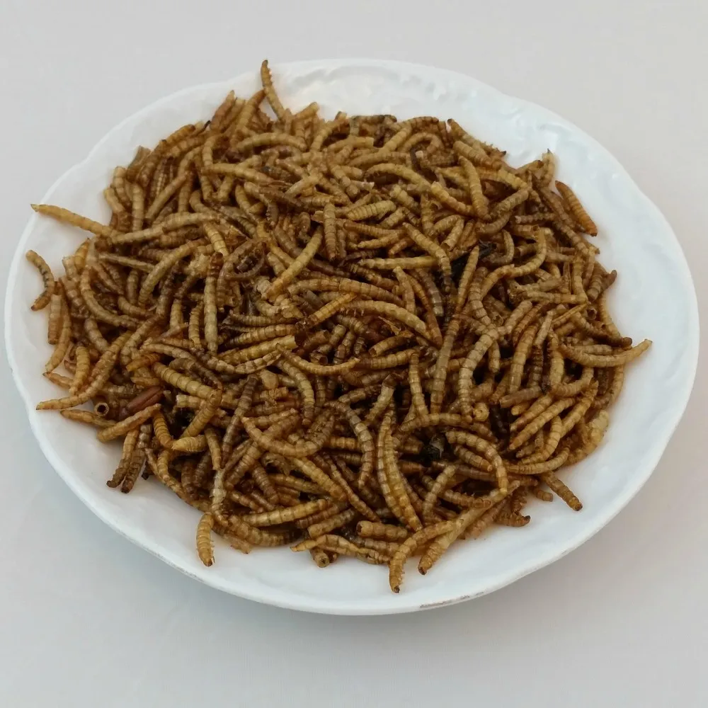 Hot Selling Dried Mealworm/frozen Dried Mealworm /live Mealworm(phoebe +841644010866) Buy
