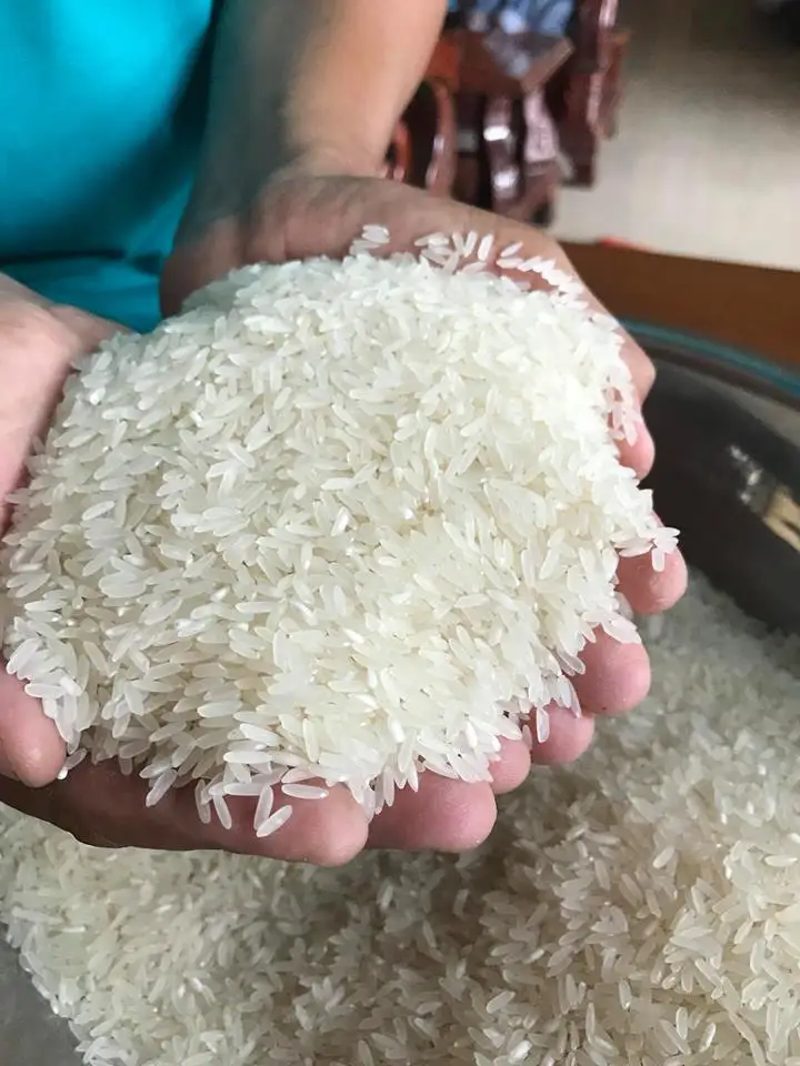 
BASMATI RICE WITH CHEAP PRICE, HIGH QUALITY RICE 