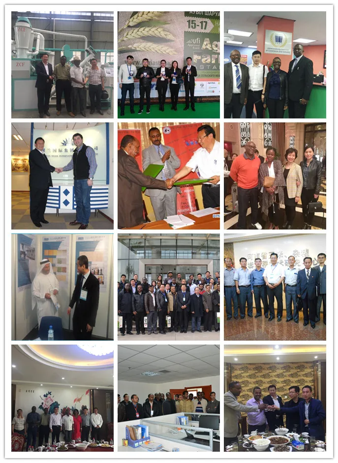 China supplier red split lentils processing machine