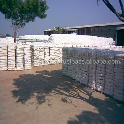 
Cotton Linter 