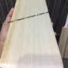 English Willow Cricket Bat 10 Straight Grains