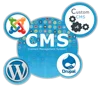 Customized CMS Designing and Development