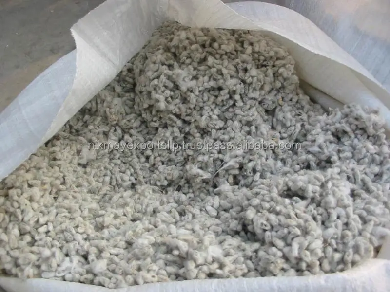 COTTON SEED 4