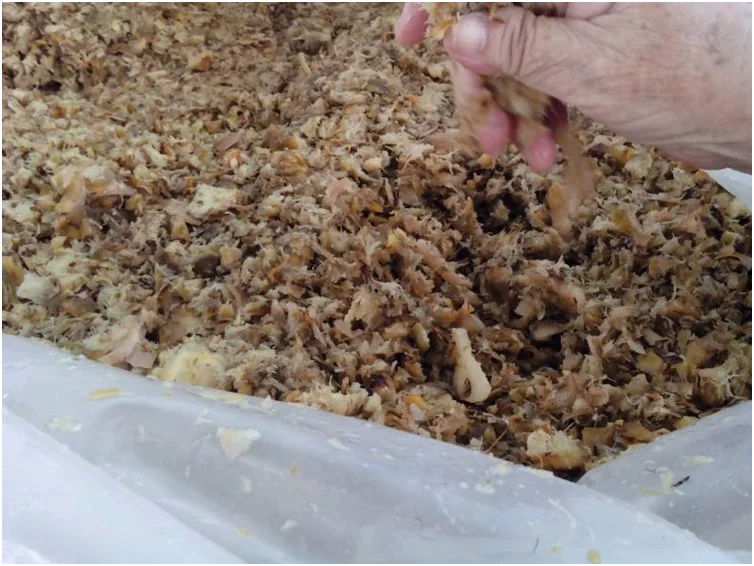 Animal Feed From Pineapple/ Dried Pineapple Peel/ Pineapple Silage (ms