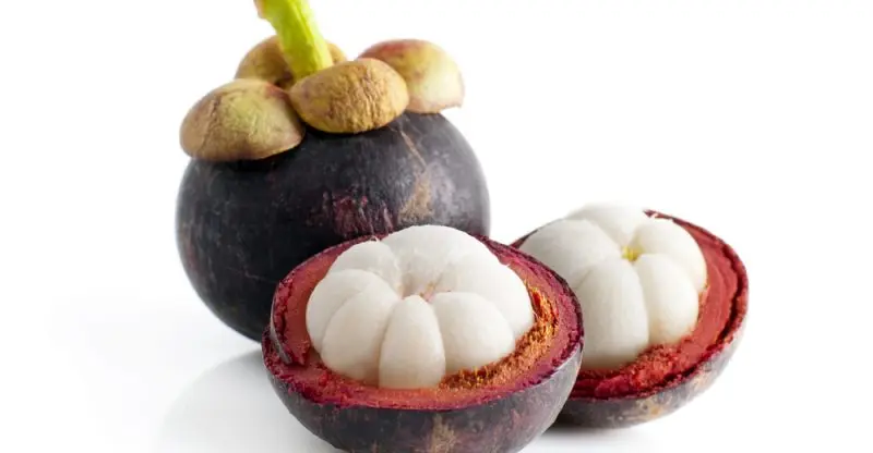 
VIETNAM FRESH MANGOSTEEN WHOLESALE 