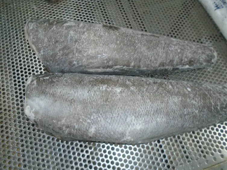 
CHILEAN SEA BASS / PATAGONIAN TOOTH FISH 