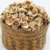 Moringa Oleifera Tree Seed Bulk