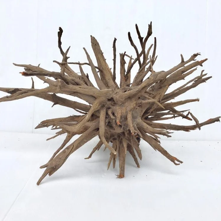 tree root aquarium decoration