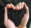 Black pepper 5mm bold black pepper Vietnam skype quocdat2610 mobile : 0084 936 692 690