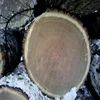 White & Red Oak Logs