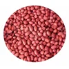 Peanut Kernel Java - 80/90 Count