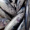 Fish Fillets And Frozen Pacific Hake