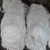 /product-detail/rabbit-fur-natural-white-color-sizes-30-cm-up-for-garments-decoration-126902013.html