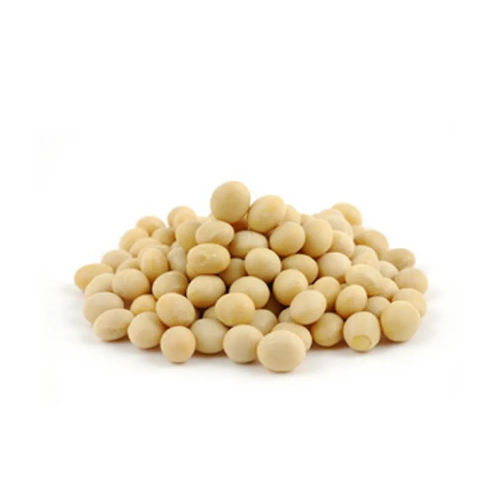 natural soybean powder from viet nam/ soybean powder with the