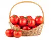 fresh tomato color / fresh tomato specifications / fresh tomato packing