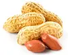 Peanuts For Sale Wholesale Price