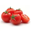 Canned Tomato Sauce From Fresh Tomato Supplier