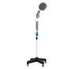 Multifunctional household far infrared ray recuperator for irradiate lamp Medical specific electromagnetic spectrum TDP lamp