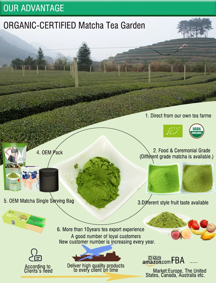 100% VIETNAM NATURE GREEN TEA EXTRACT POWDER