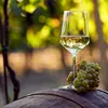NEW Harvest Bulk Varietal Chardonnay White Wine From Argentina Mendoza Spain Family
