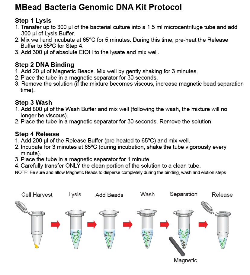 Simply 100rxns Mbead Bacteria Genomic Isolation Extract Dna Kit Buy