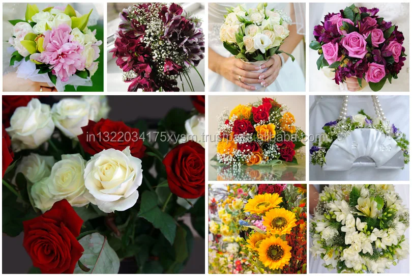 Shop Our Fresh Cut Flower Collection Grandiflora Roses