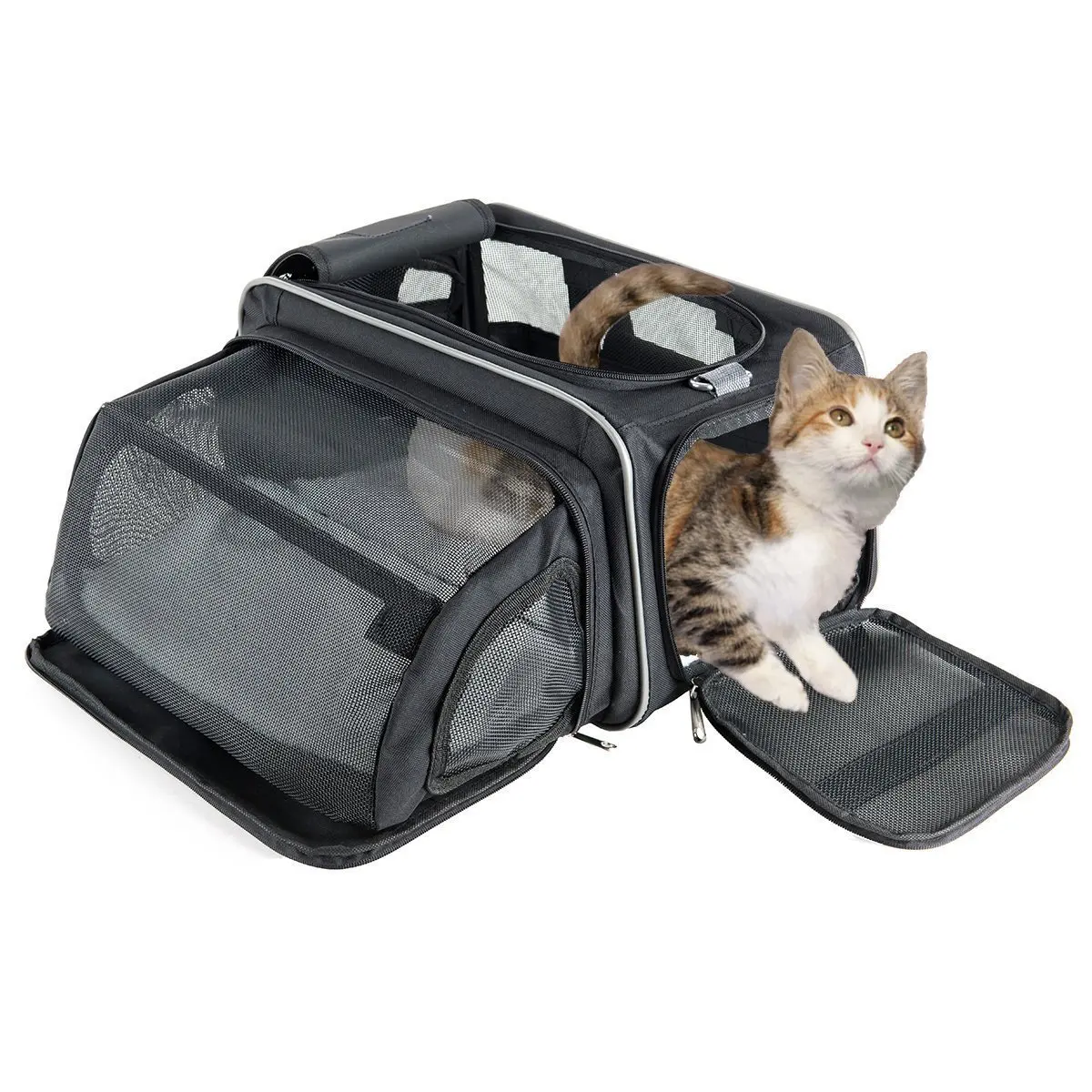 Buy Cat Carrier Fypo Soft Sided Airline Approved Pet Carriers