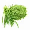Barley Grass Powder Vegan And Gluten Free Certified Organic | Private Label | Bulk