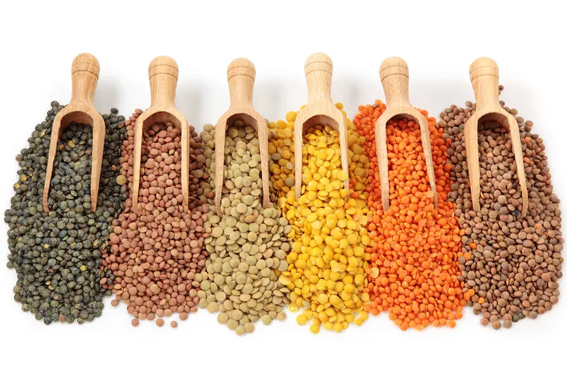 large canadian green lentils