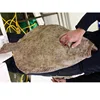 Seafood delicious frozen turbot fish whole round