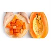 DRIED PAPAYA WITH SWEET TASTE/ MOST PRICE AND HIGH QUALITY/ +84-845-639-639 (Whatsapp)