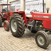 Massey Ferguson Tractor Mf-260 for Sale