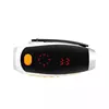 Fashion style rechargeable emergency dynamo flashlight