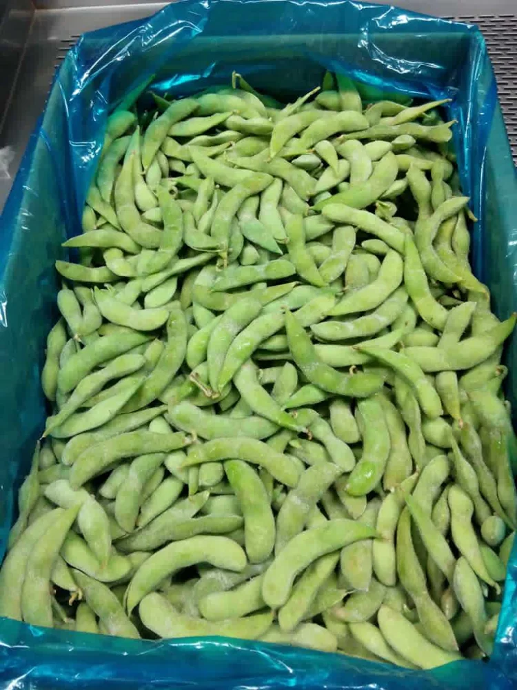 
IQF Frozen Green Edamame Vegetables 