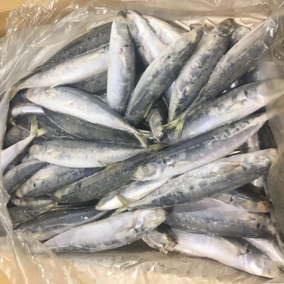 Frozen Scad Mackerel Round Scad Whole Round Fish Muroaji Buy Scad