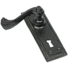 Black Malleable Door Lever Handle Plain