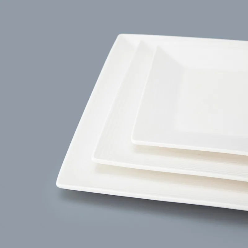 Two Eight dinnerplates for business for hotel-2