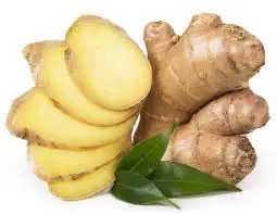 
High quality Organic fresh ginger cheap price best quality 