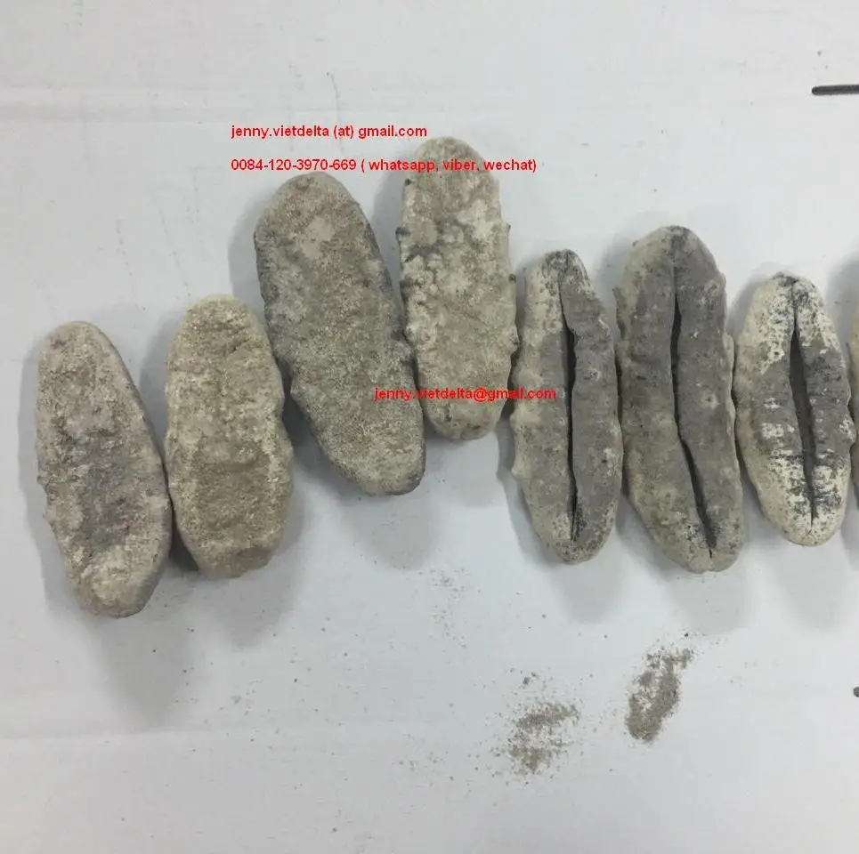 white teat cucumber1.JPG