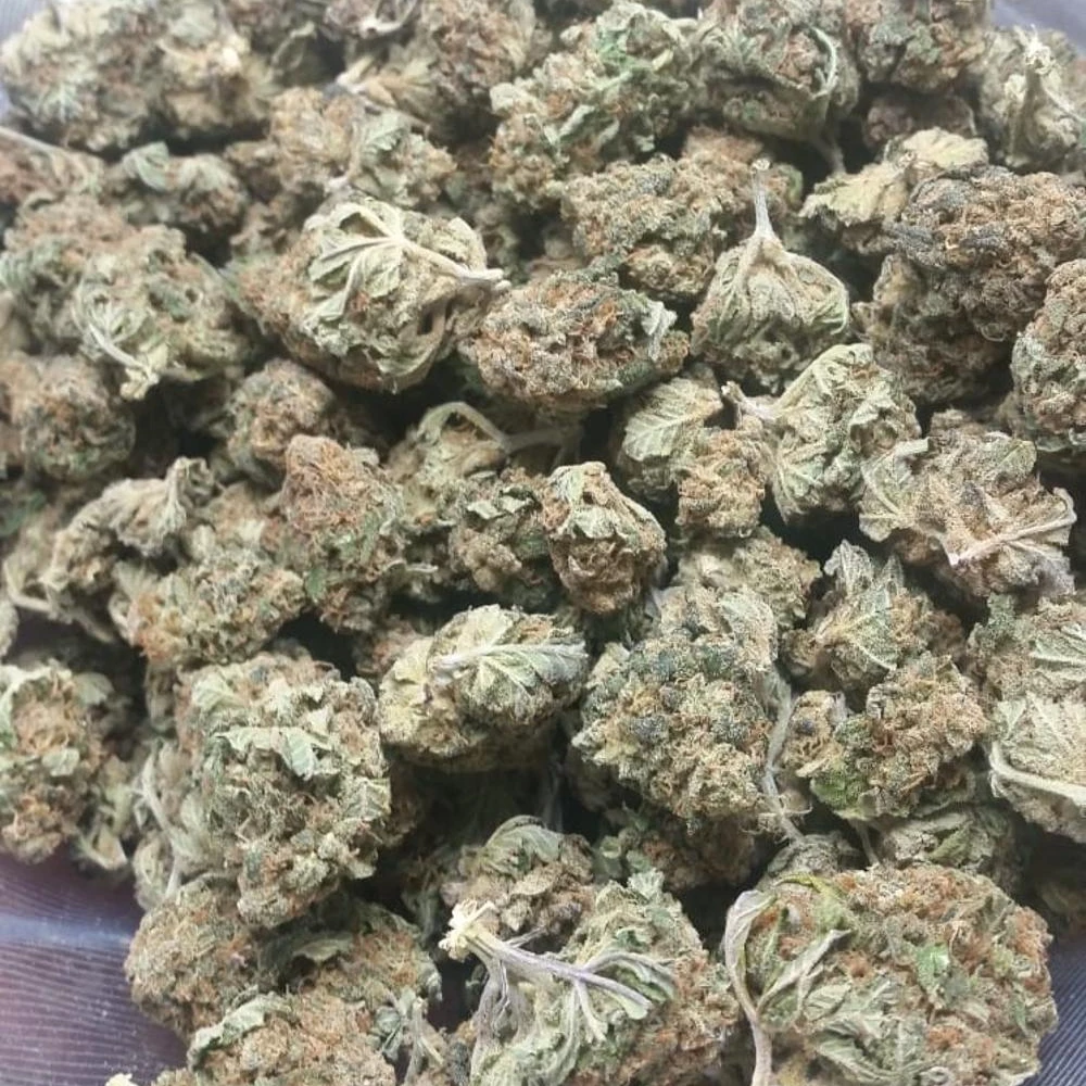 

Wholesale Indoor CANNABlS CBD Flower No Seeds CBD Buds, N/a