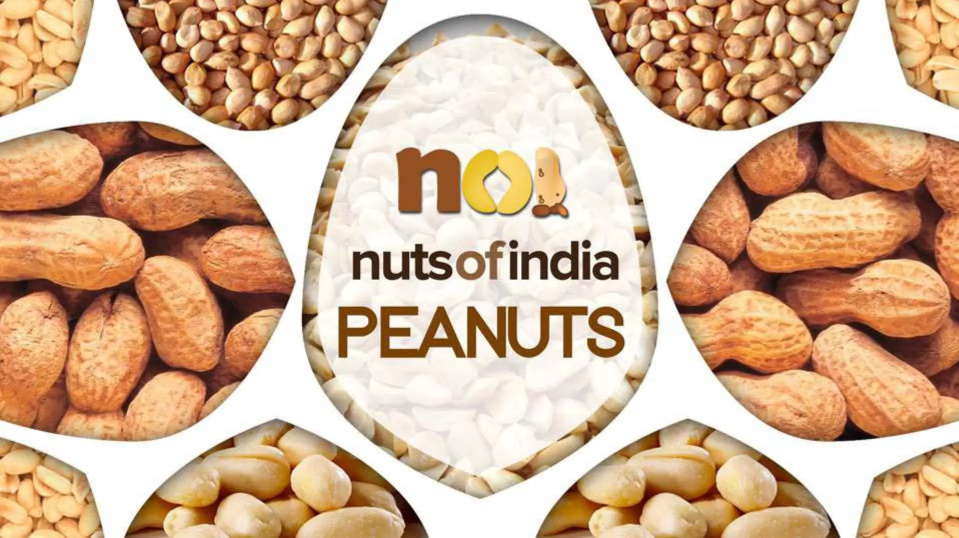 peanut details1.jpg