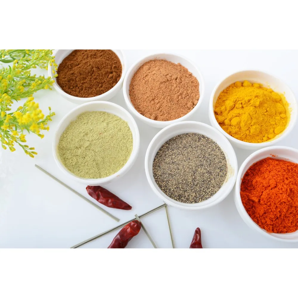 delicious bbq seasoning powder / barbecue seasoning powder