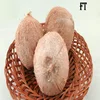 Matured Coconut - For Free samples visit our website