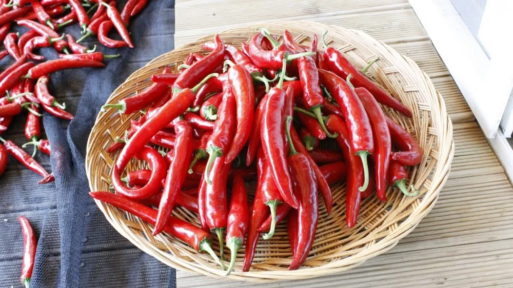 premium quality red dried chilli from friendz trad