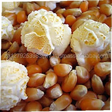 
Yellow Corn for Popcorn,Yellow Popcorn NON-GMO and GMO Popcorn 