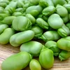 Price of broad beans dried Fava Beans For Sale