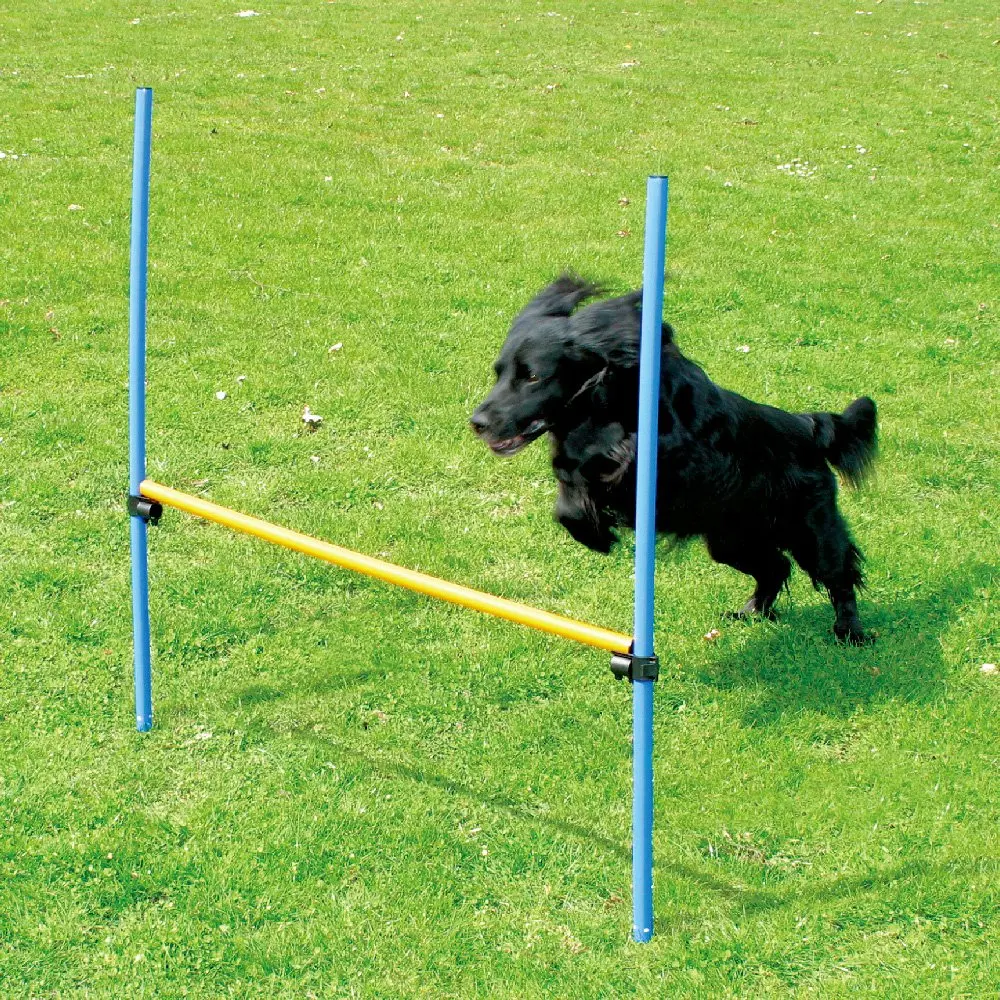 Namsan Dog Agility Training Equipment Dog Outdoor Games Pet Training Jump Hoop Dog Agility Starter Equipment