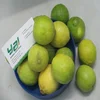 Lemon Importer in Dubai / Malaysia / Singapore / Vietnam / Thailand / Maldives