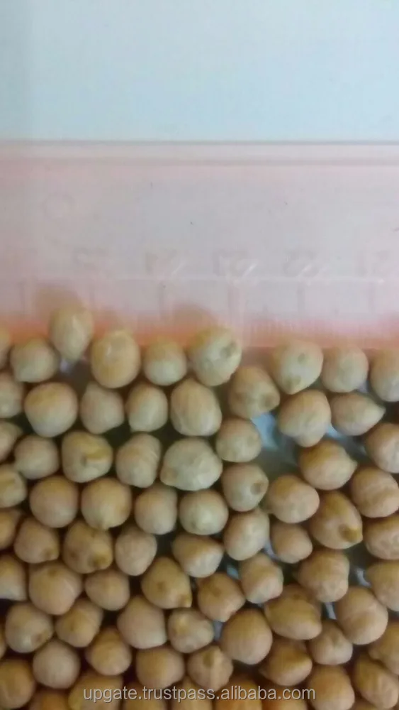 
Chickpeas 